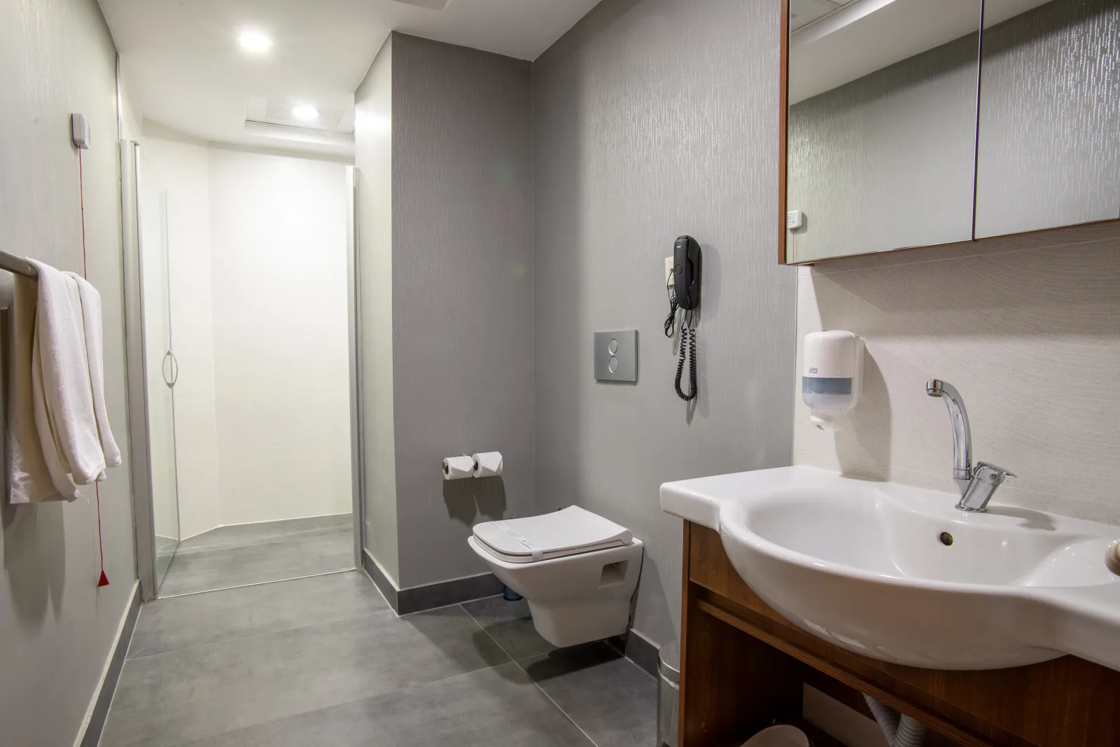 Family Room (4 Persons) 5